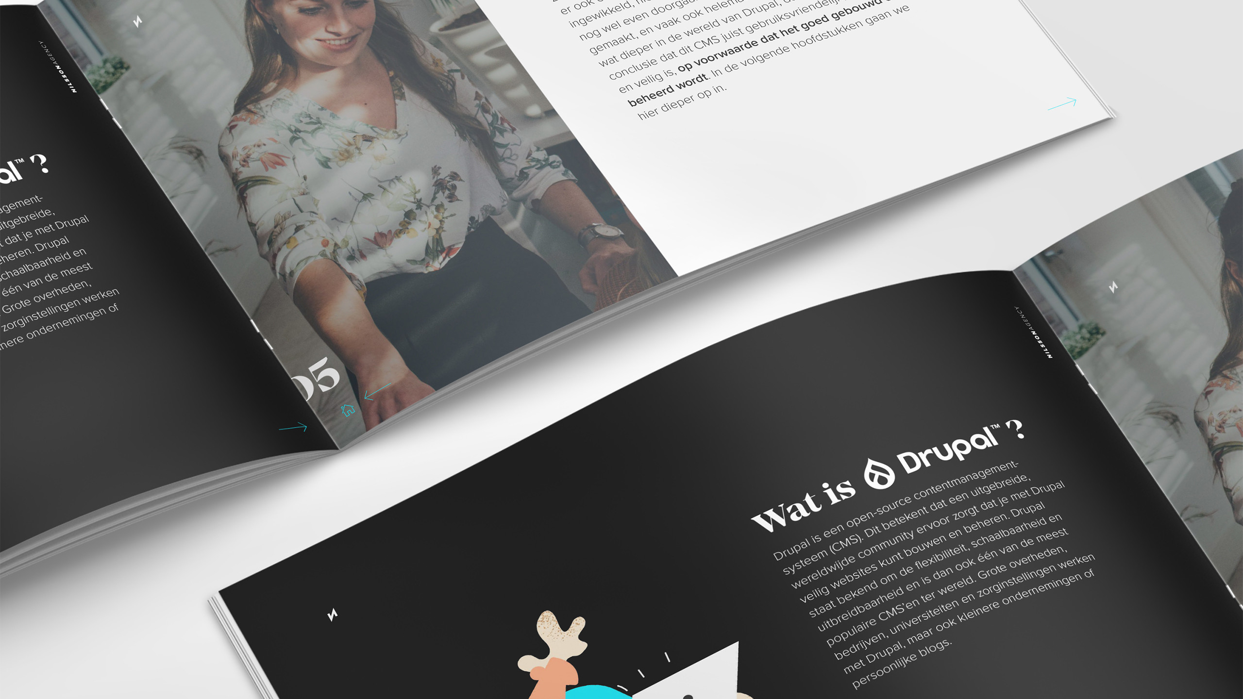 Wat is drupal?
