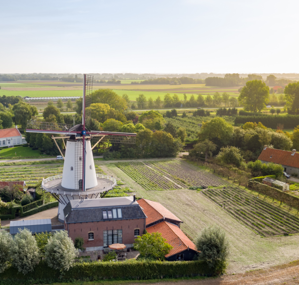 Beeld Werken bij Veere